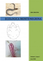 Ecologica Montenegrina