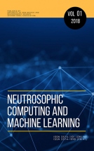 Neutrosophic Computing and Machine Learning 