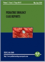 Pediatric Urology Case Reports